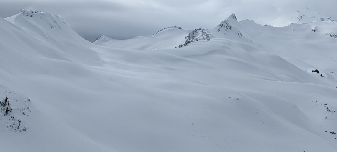 Ptarmigan Ridge