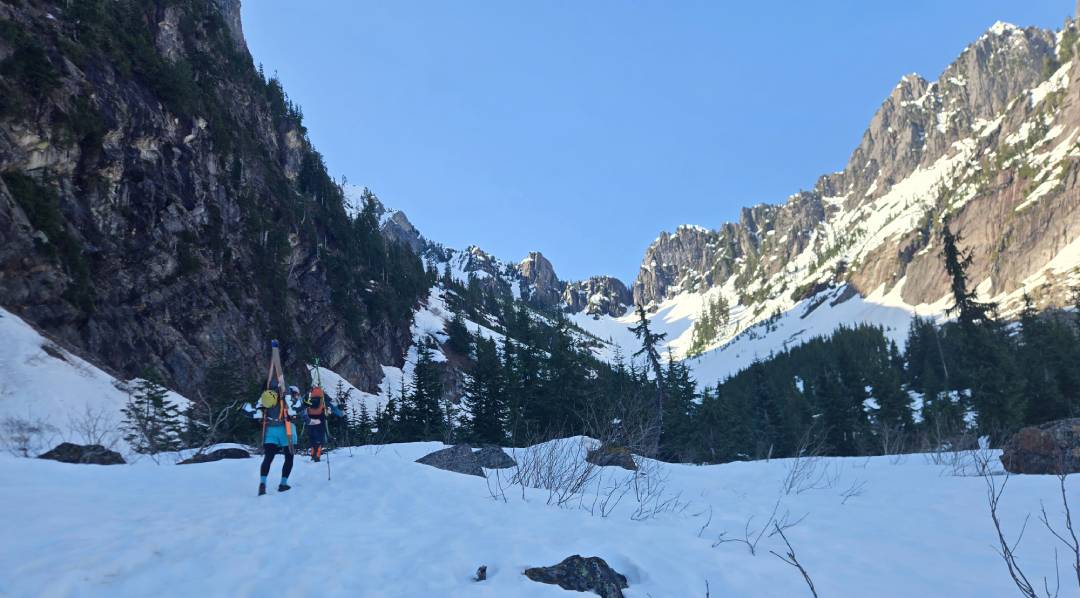 Wertz Basin