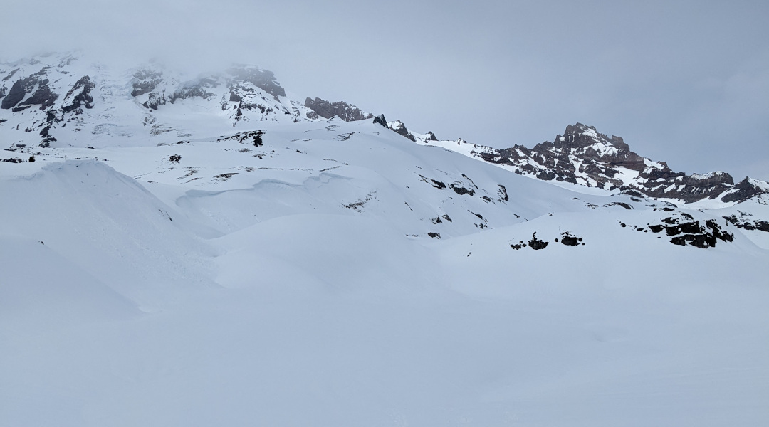 Looking back towards Paradise Glacier