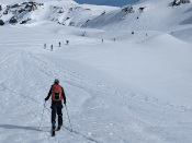Trip Report: Paradise Glacier Ski Tour