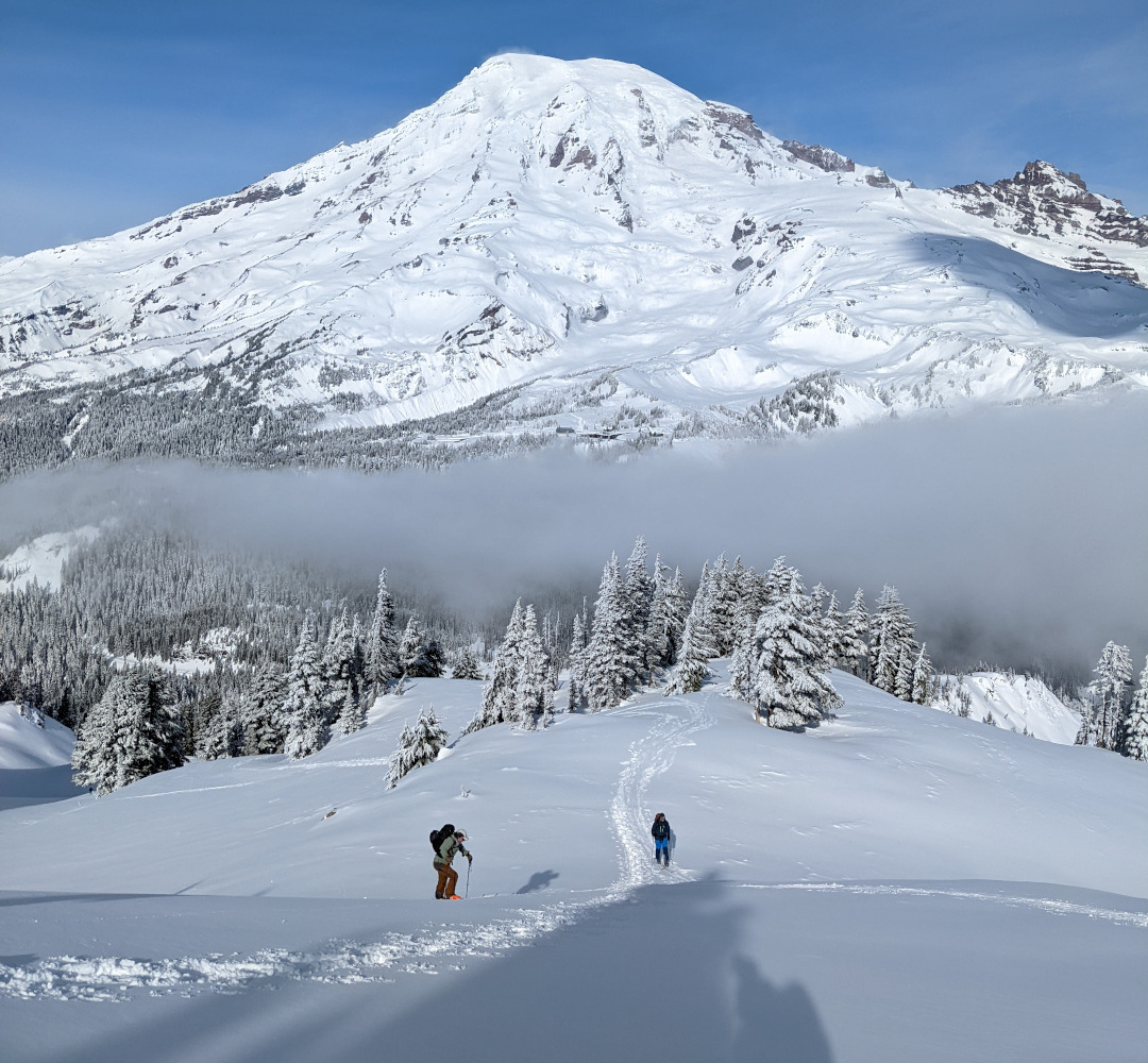 Rainier in the Rear-view