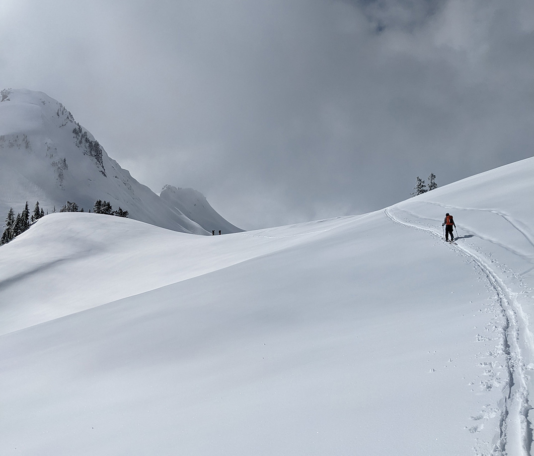 Ptarmigan Pass