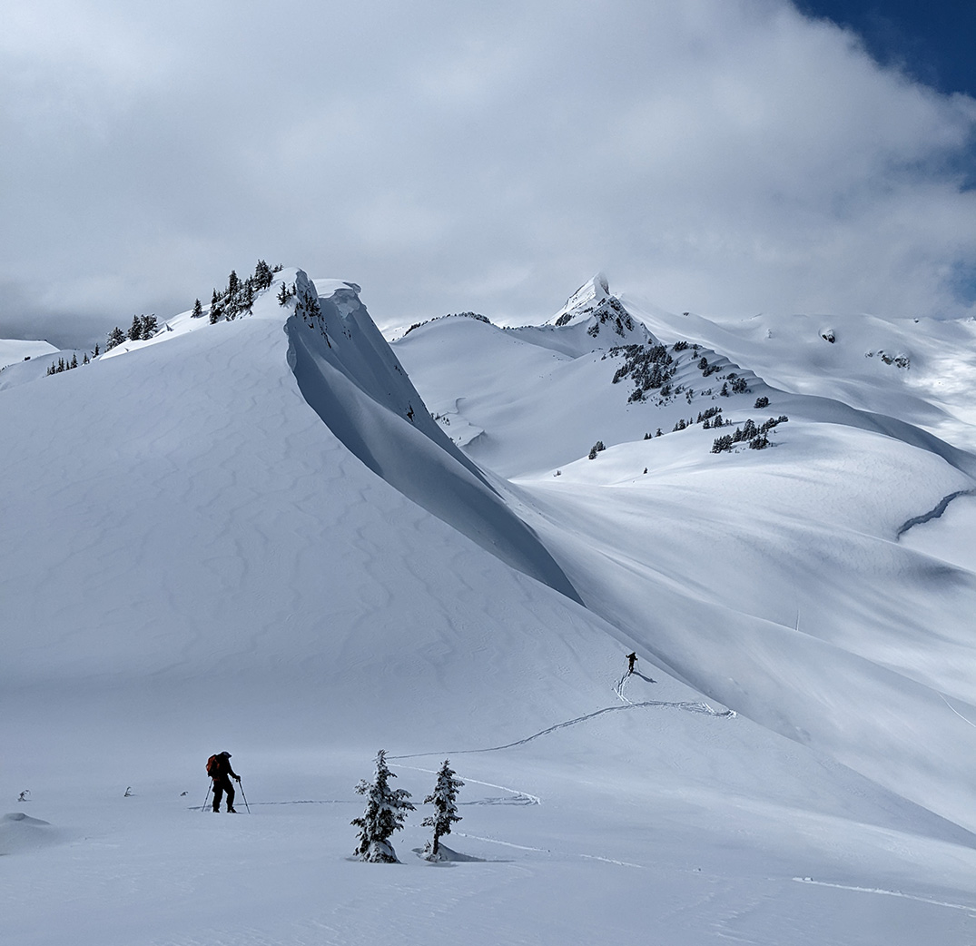 Ptarmigan Ridge